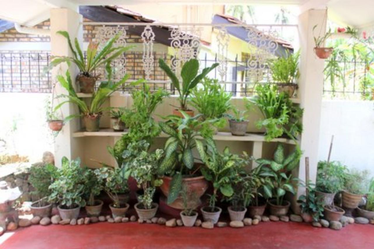 Charming Homestay By The Beach Dehiwala-Mount Lavinia Eksteriør bilde