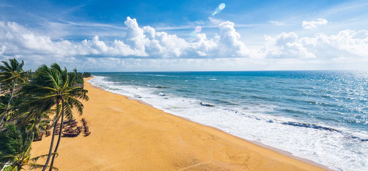 Charming Homestay By The Beach Dehiwala-Mount Lavinia Eksteriør bilde